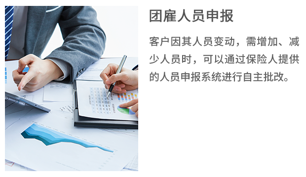 6-Group hired personnel  declaration-zsok.png